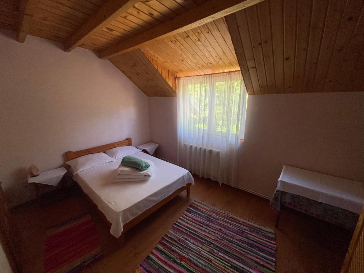 Pensiunea Valea Badilii Valea Iasului Exterior foto