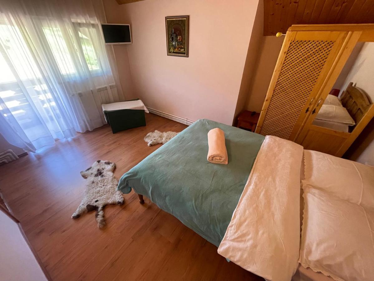 Pensiunea Valea Badilii Valea Iasului Exterior foto