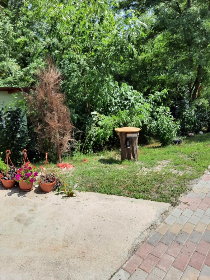 Pensiunea Valea Badilii Valea Iasului Exterior foto