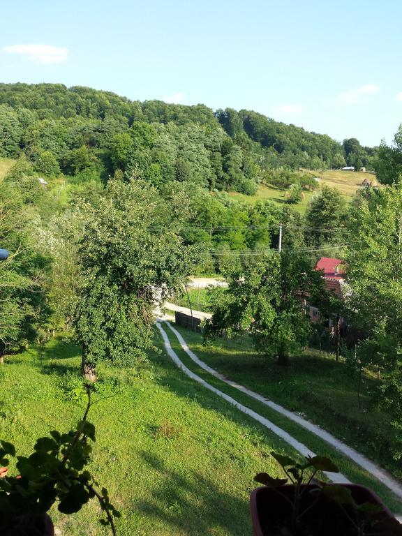 Pensiunea Valea Badilii Valea Iasului Exterior foto