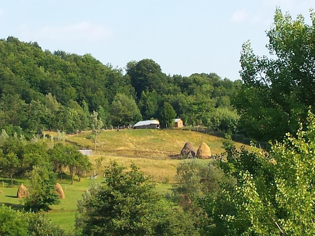 Pensiunea Valea Badilii Valea Iasului Exterior foto