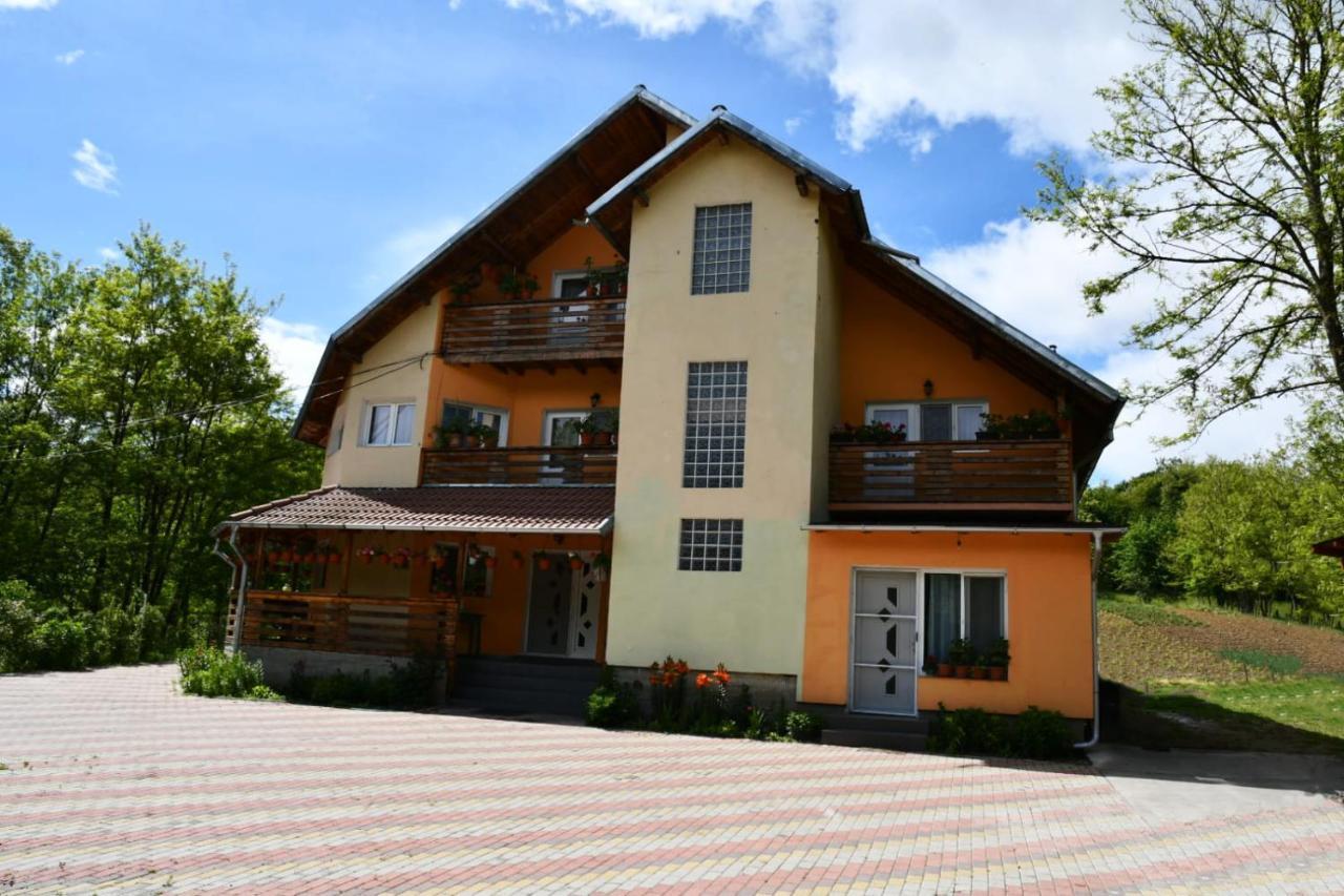 Pensiunea Valea Badilii Valea Iasului Exterior foto
